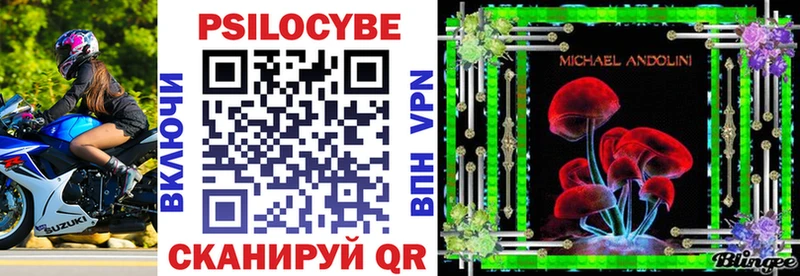 Псилоцибиновые грибы мицелий  кракен как зайти  Дзержинск 